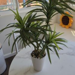 Fake Plant With Vase