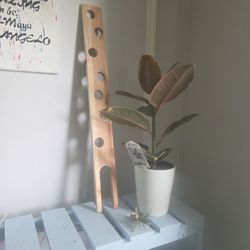 Plant Trellis/ Plank Different Sizes