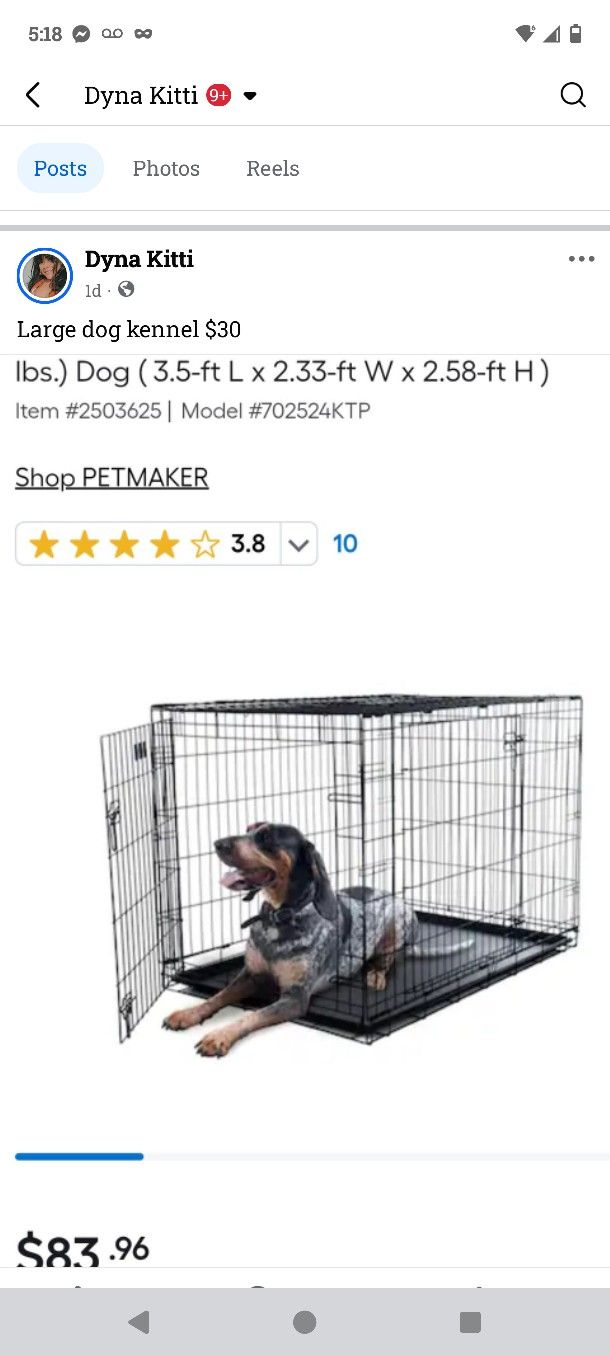Large Dog Kennel