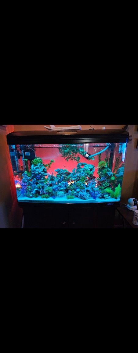 Fishtank Jebo 60 Gal Selling Only Fishtank&stand No Fish