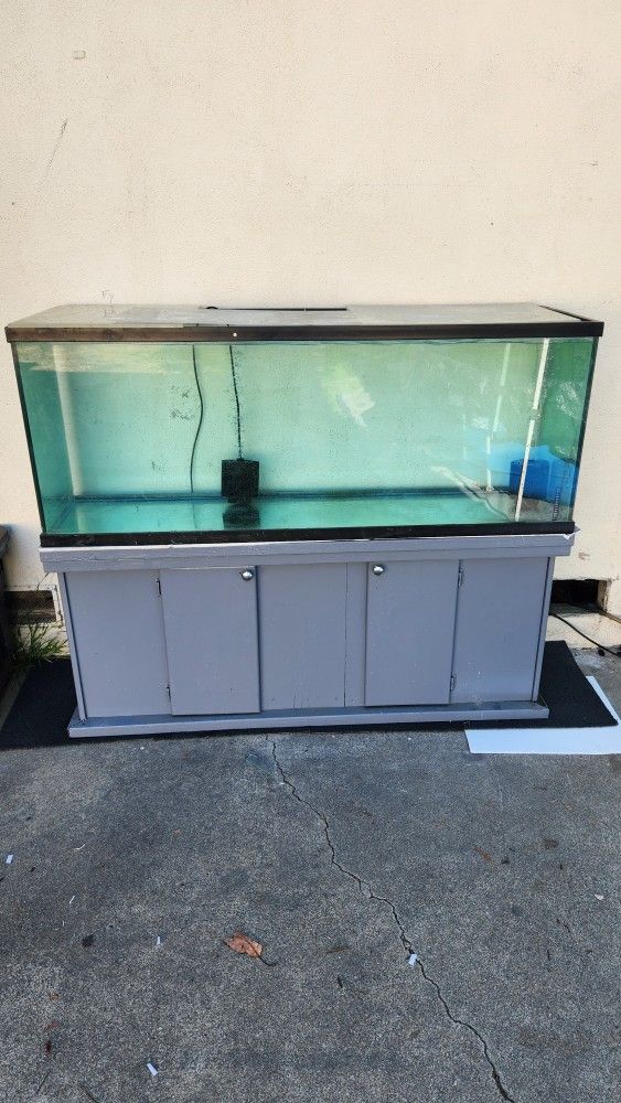 Fish Tank