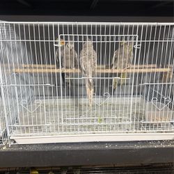Cocktail cage