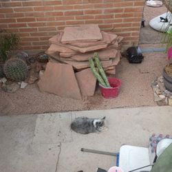 Flagstone 2 in thick