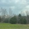 Local Sales TN