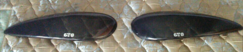 Grand Am tinted headlight Shields