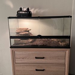 Reptile Tank 
