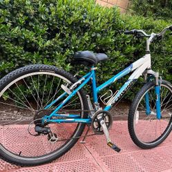 26 Inches Schwinn Bike