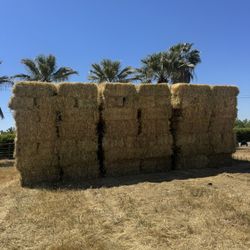 Organic 3 Way Hay ! Oat Wheat Barley 