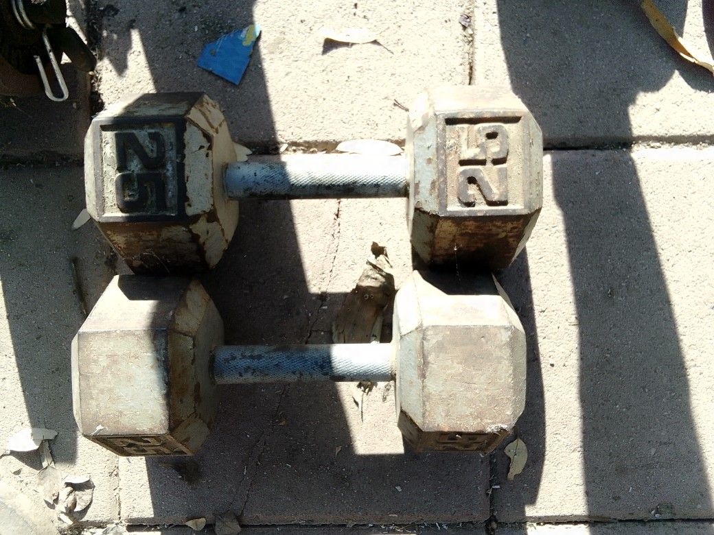 25 Pounds Dumbbells