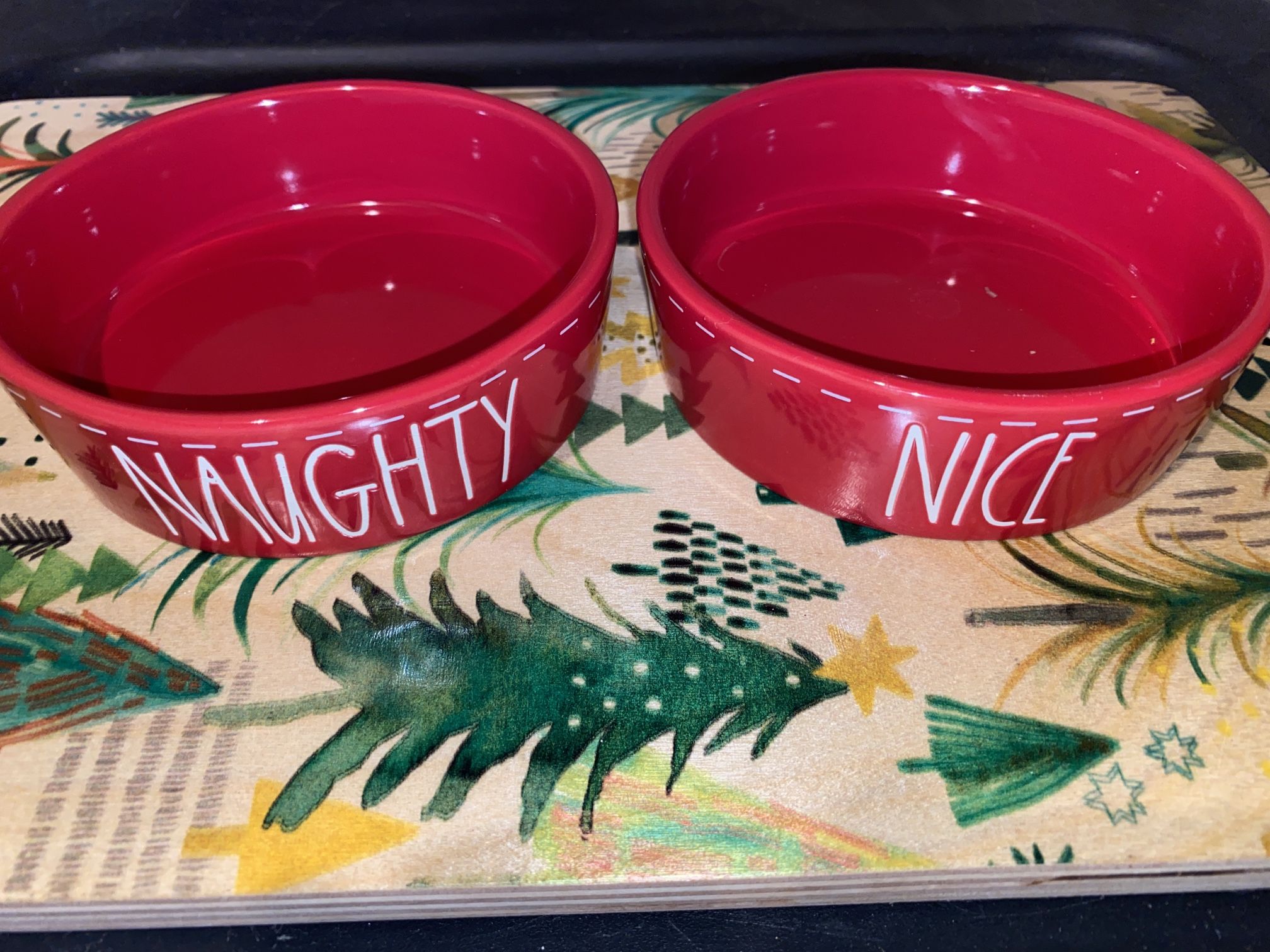 RAE DUNN NAUGHTY AND NICE PET BOWLS