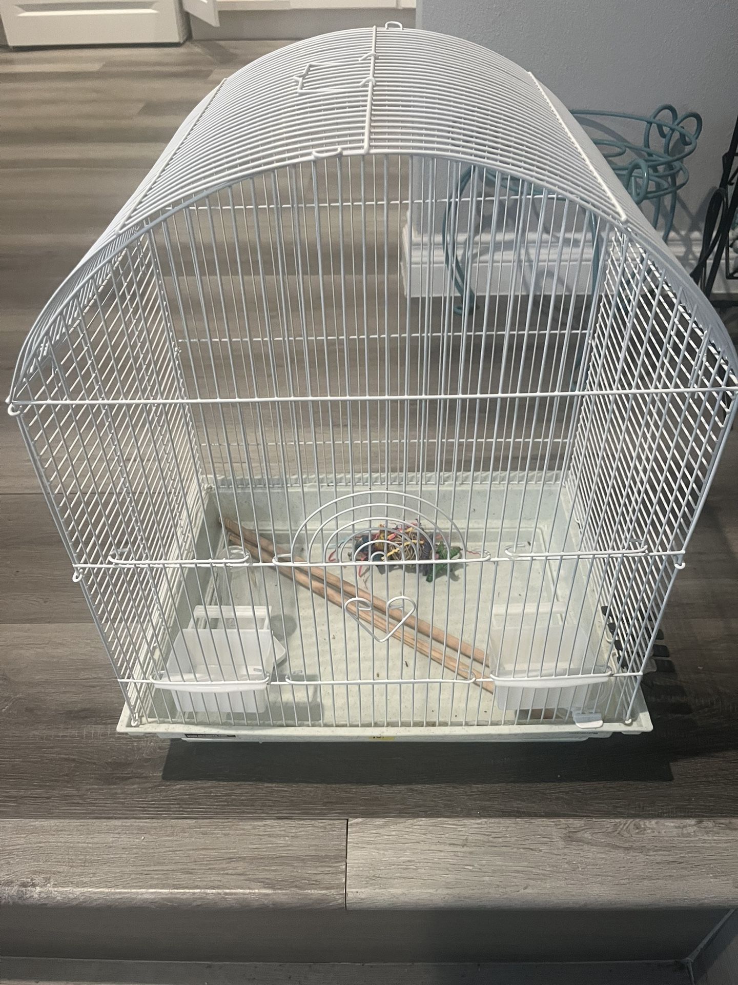 Bird Cage
