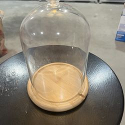 Glass Dome Small