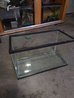 Fish tank