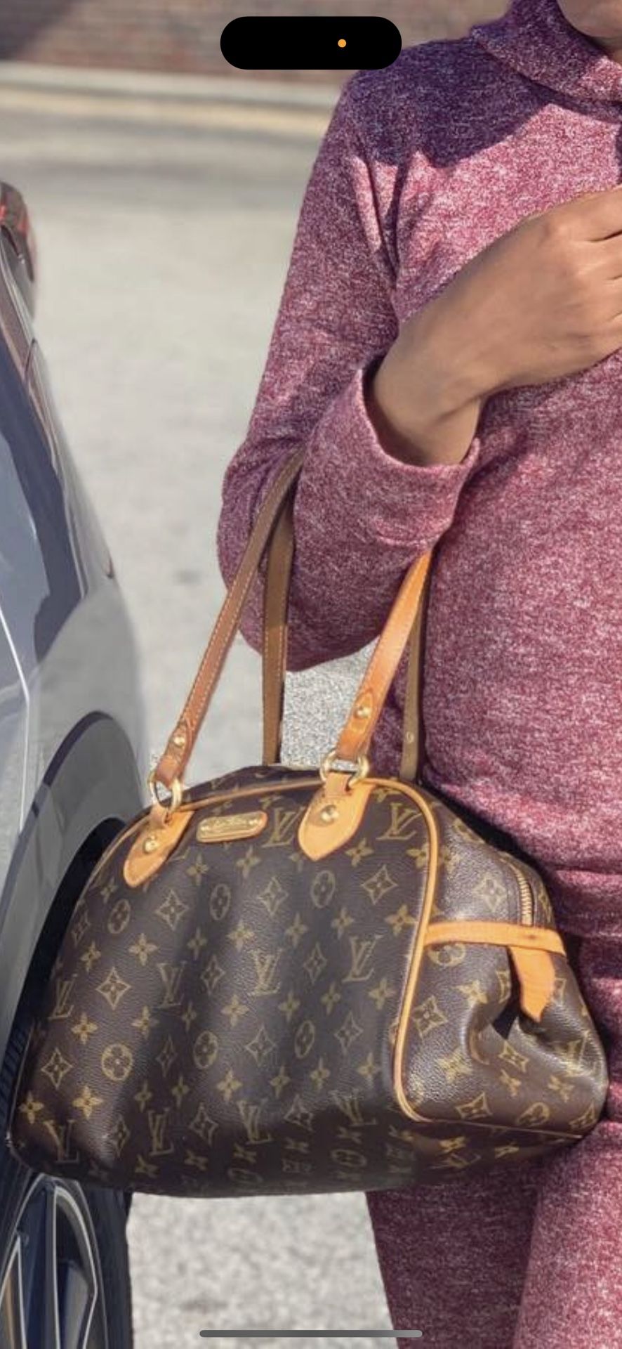 Louis Vuitton Purse