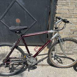 Bike 26”