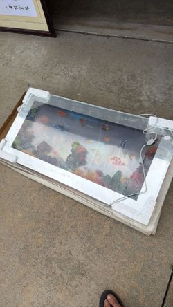 Aquarium light up picture frame