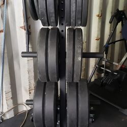 Bumper Plates