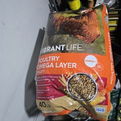 Chicken Feed