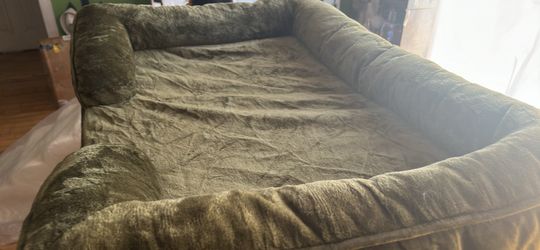 Green Dog Bed