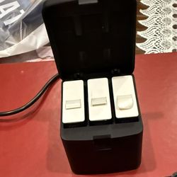 3 Enduro GoPro Batteries 