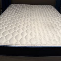Queen Sleepys Matress