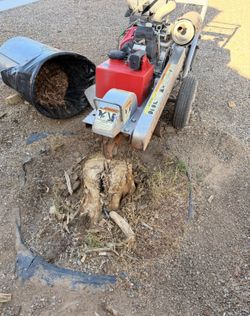 Tree Remover stump Grinder