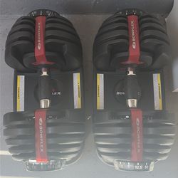 Bowflex Adjustable Dumbbells (Pair)