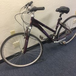 Schwann S4059WMA Ladies Circuit Women’s Bicycle (Purple)