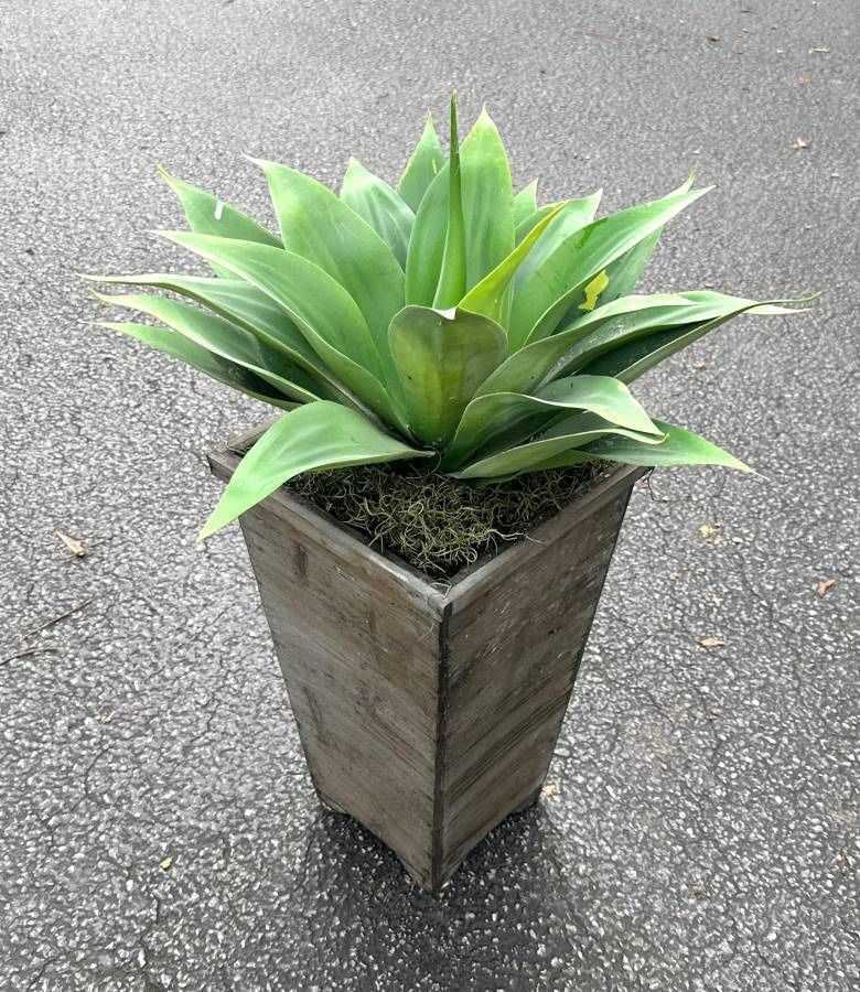 Faux Artificial Agave Succulent Plant Arrangement In Wood Pot Planter Home Decor Accent