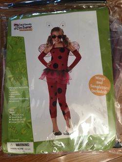 Ladybug costume