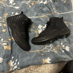 jordan 12 winter black 10.5
