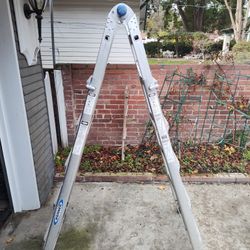 Werner Ladder 