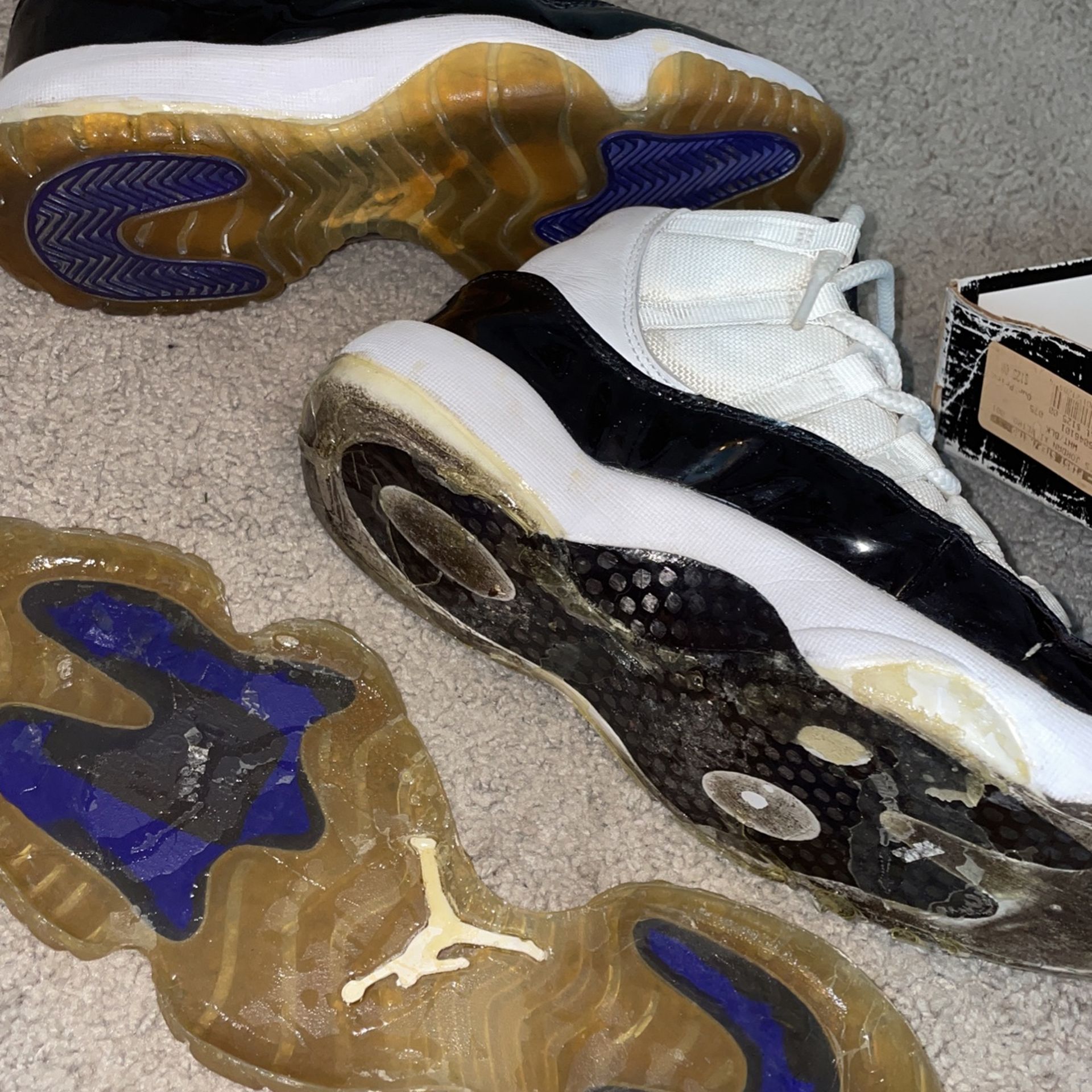 Concord 11 icy clearance bottom