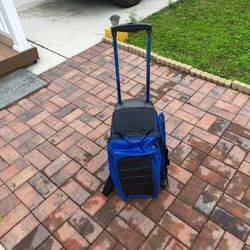 Ladies Bowling Carriage & Ball And Shoes