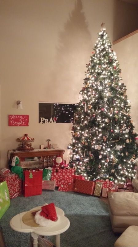 Christmas Tree 13ft prelit, mixed Gunnison Pine Tree