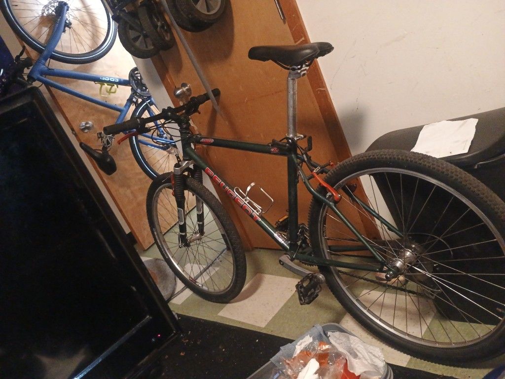Mountain Bike