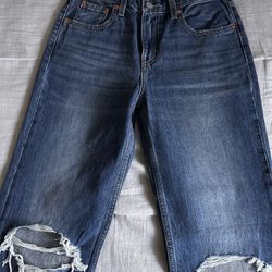 Low Pro Straight Levis