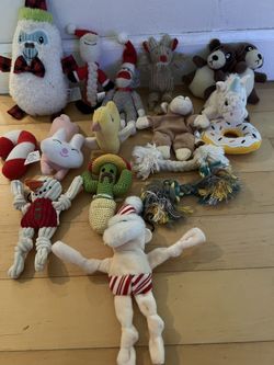 LOTS OF Dog Toys/ Water Dish