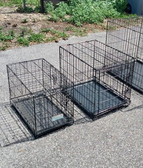 Small Dog Crates