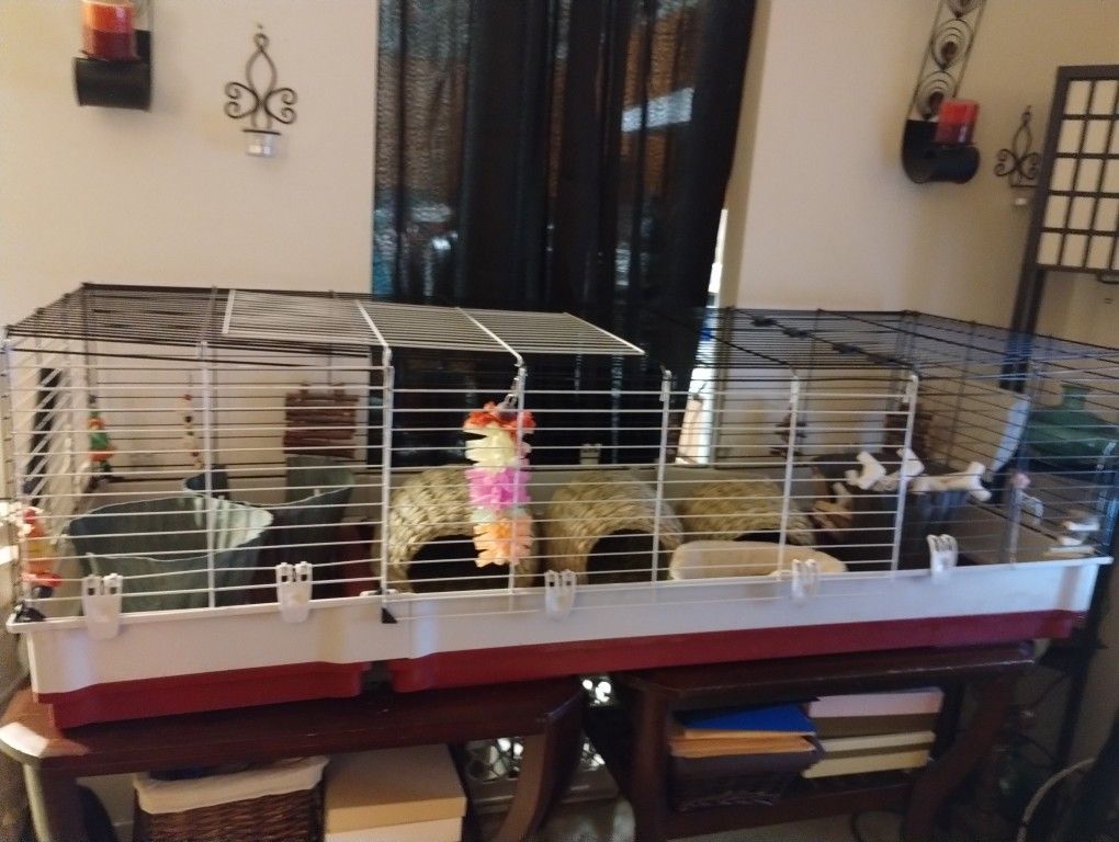 Cage For Guinea Pigs