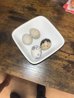 Organic Eggs