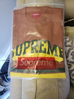 Supreme s/s 19 shirt