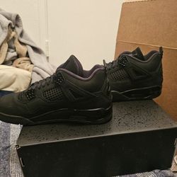 Jordan 4 Black Cat Jordan 11 Gamma 