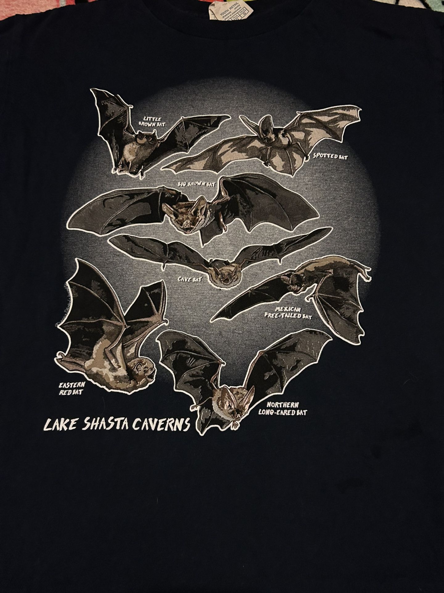 Bat Graphic Shirt Tee By Delta Pro Weight