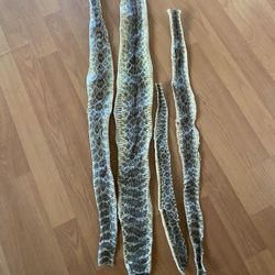 Rattlesnake skin
