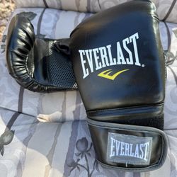 Everlast Sparring Gloves