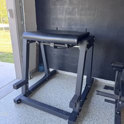 Titan Reverse Hyperextension