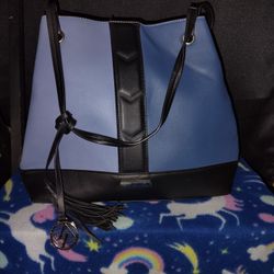 Adrienne Vittadini Blue purse