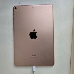 Ipad Mini (5th Generation)