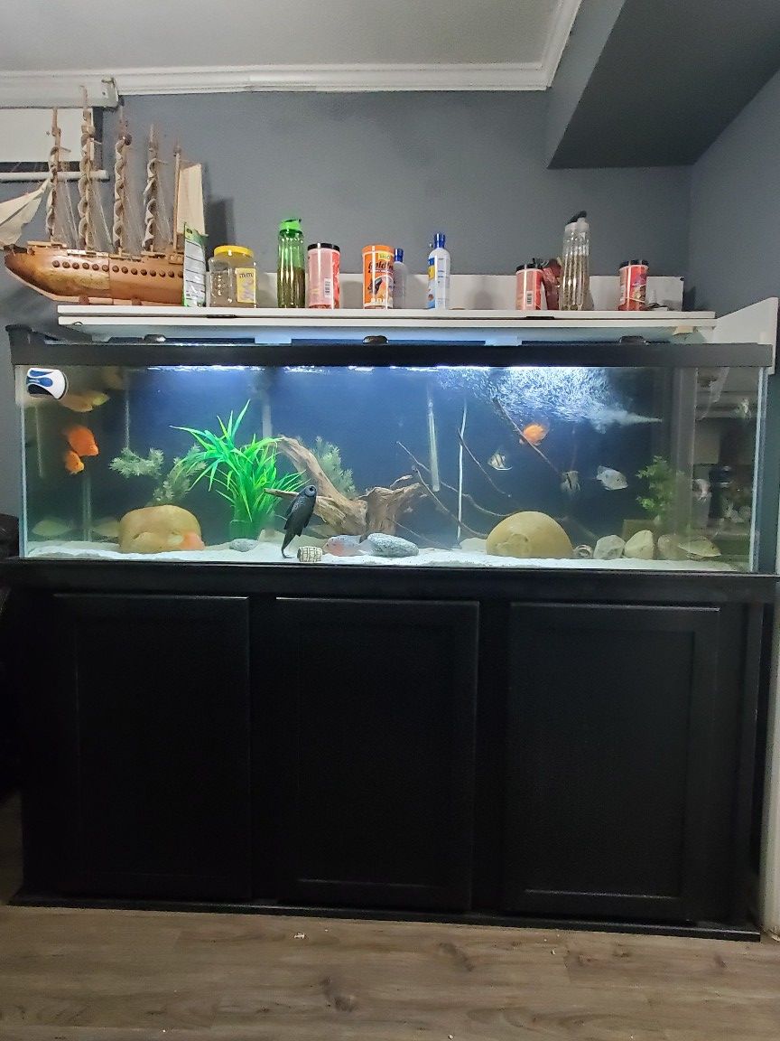 Fish tank